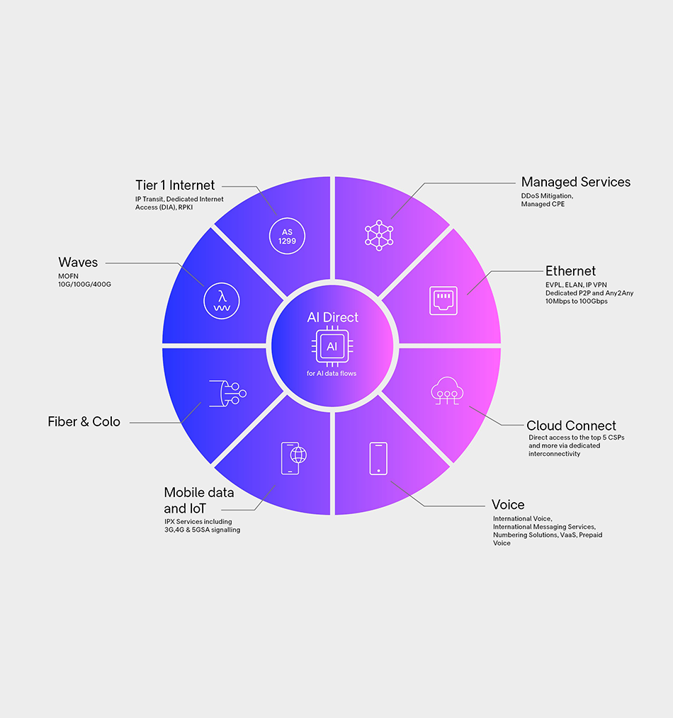 Arelion solution brief illustration